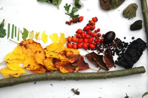 Traumfänger basteln auf dem Natur-Campigplatz zum Hexenwäldchen