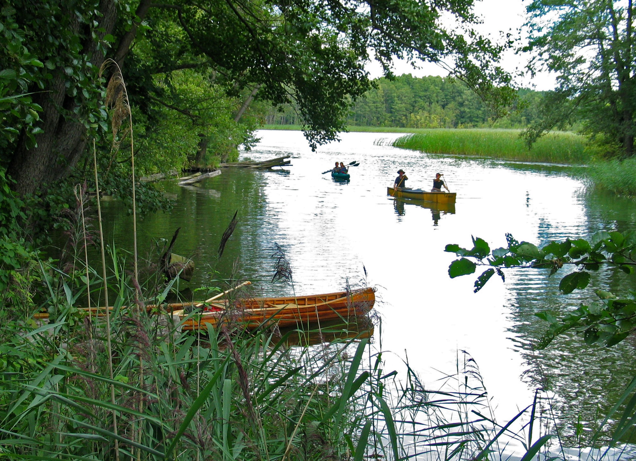 Wasserwandern im Müritz-Nationalpark