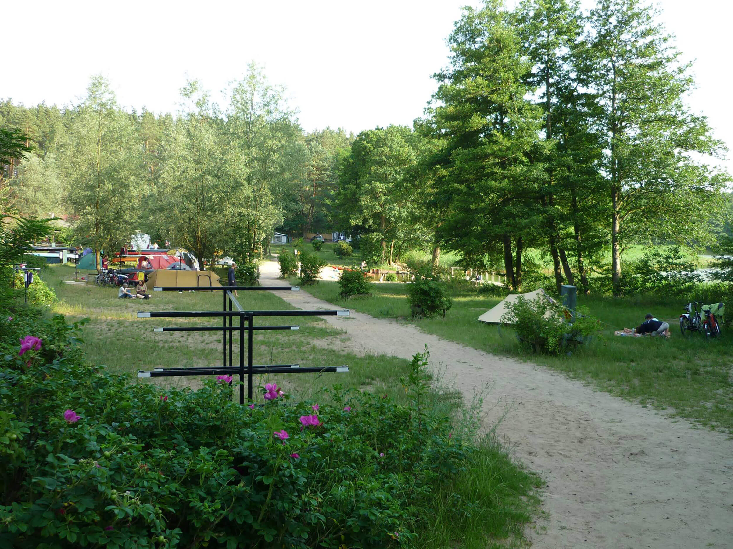 Familiäre Himmelfahrts-Tage auf dem Natur-Campingplatz Zum Hexenwäldchen