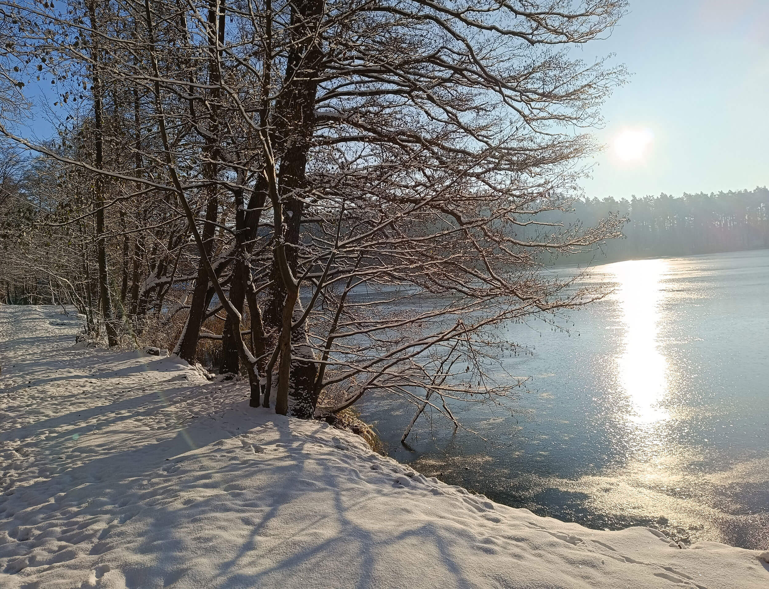 Weihnachten und Silvester auf dem Natur-Campingplatz Zum Hexenwäldchen