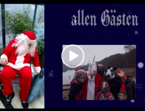 Frohe Weihnachten aus dem Hexenwäldchen